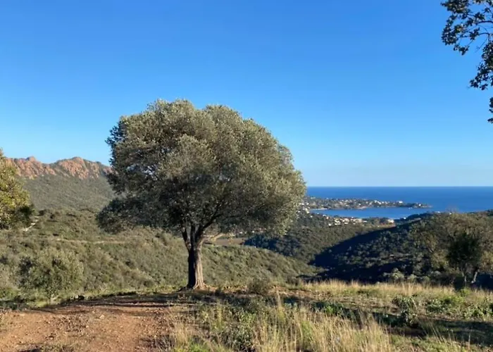 St Raphaël Piscine Wifi, Commerces Et à Pieds Apartamento *