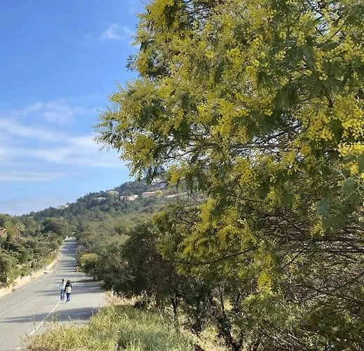St Raphaël Piscine Wifi, Commerces Et à Pieds Apartamento