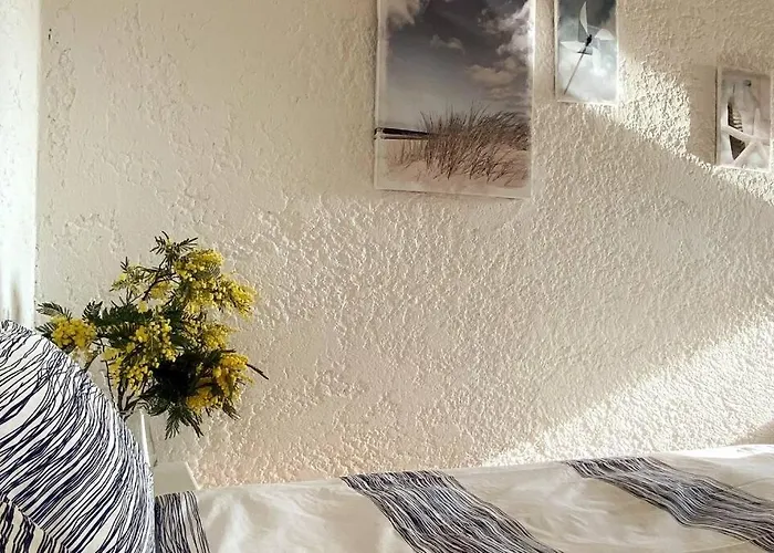 St Raphaël Piscine Wifi, Commerces Et à Pieds * Saint-Raphaël