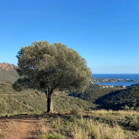 St Raphael Piscine Wifi, Commerces Et A Pieds 公寓 *