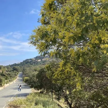 St Raphael Piscine Wifi, Commerces Et A Pieds 公寓