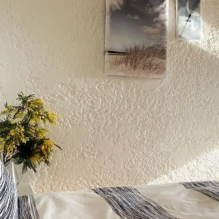 St Raphael Piscine Wifi, Commerces Et A Pieds * Saint-Raphaël