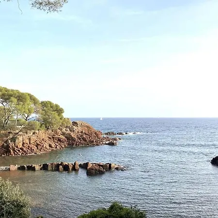 公寓 St Raphael Piscine Wifi, Commerces Et A Pieds *